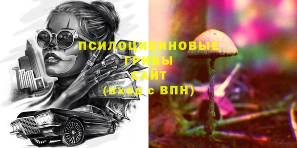 spice Богданович