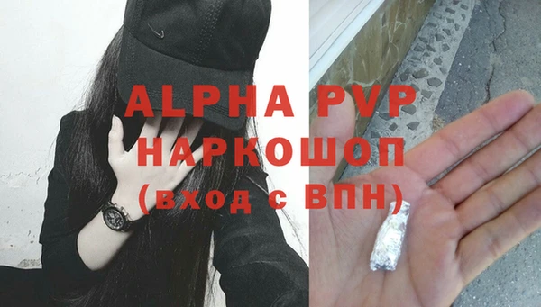 spice Богданович