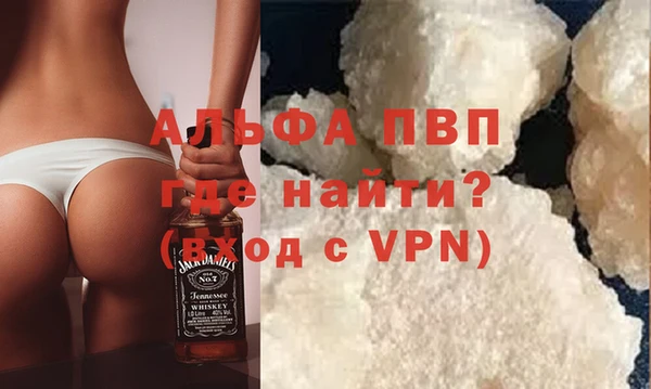 spice Богданович