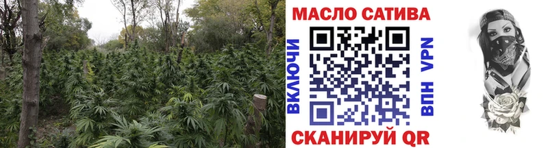 купить наркотики сайты  Мглин  ТГК концентрат 