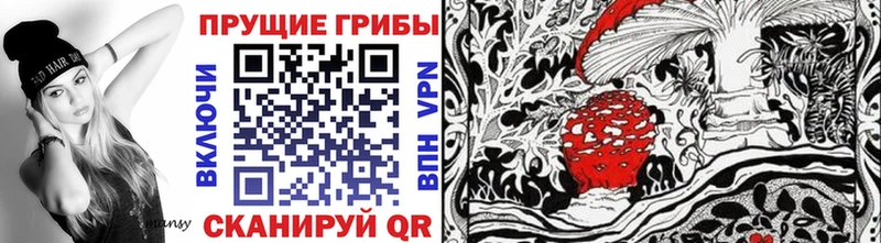 Галлюциногенные грибы мицелий  блэк спрут как войти  Мглин 